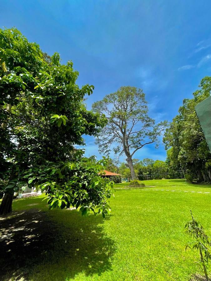 Hotel Finca San Nicolas سان سلفادور المظهر الخارجي الصورة