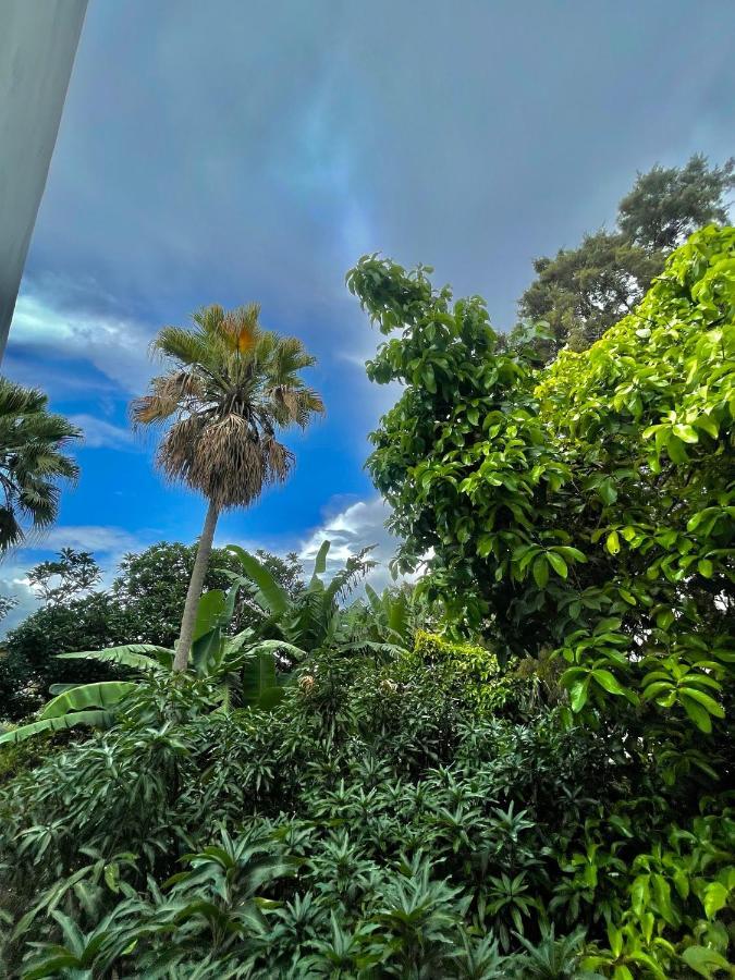 Hotel Finca San Nicolas سان سلفادور المظهر الخارجي الصورة